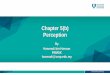 Chapter 5(b) Perception