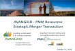 AVANGRID - PNM Resources Strategic Merger Transaction
