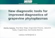New diagnostic tools for improved diagnostics of grapevine 