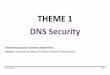 THEME 1 DNS Security - probabilitylectures.narod.ru