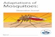 Adaptations of Mosquitoes - Special District