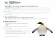 Learning Activity: MAKE YOUR OWN PENGUIN