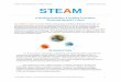 STEAM: A Working Definition & Guiding Principles Last 