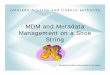 MDM and Metadata Management on a Shoe String