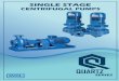 EVOL Single Stage Centrifugal Pump cover
