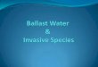 Ballast Water & Invasive Species - Bay Planning Coalition