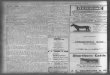 Gainesville Daily Sun. (Gainesville, Florida) 1909-11-07