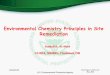 Environmental Chemistry Principles in Site Remediation