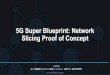 Slicing Proof of Concept 5G Super Blueprint: Network