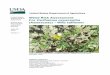 Weed Risk Assessment For Carthamus oxyacantha (Asteraceae 