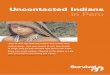 Uncontacted Indians in Peru - Survival International