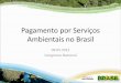 Pagamento por Serviços Ambientais no Brasil