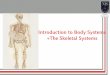 Introduction to Body Systems +The Skeletal Systems