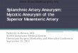 Splanchnic Artery Aneurysm: Mycotic Aneurysm of the
