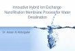 Innovative Hybrid Ion Exchange- Nanofiltration Membrane 
