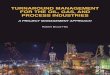 Turnaround Management Process Industries