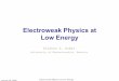 Electroweak Physics at Low Energy