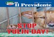 stop yulin day! - CISL