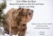 Don’t Wake the Bear: Sleep Disruption in the ICU and How 