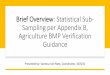 Brief Overview: Statistical Sub- Sampling per Appendix B 