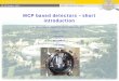 MCP based detectors – short introduction