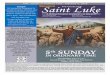 Fifth Sunday in Ordinary Time - February 4, 2018 Saint 