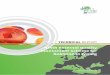 Eighth external quality assessment scheme for Salmonella 