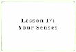 Lesson 17: Your Senses