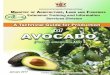 Avocado Tech Pack - Ministry of Agriculture, Land and 