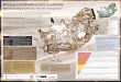 Mining and Biodiversity Guideline