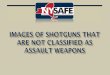 IMAGES OF SHOTGUNS THAT ARE NOT ... - safeact.ny.gov