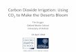Carbon Dioxide Irrigation: Using CO to Make the Deserts Bloom