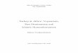 Turkey in Africa: Voyeurism, Neo-Ottomanism and Islamic 