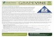 GRAPEVINE - res.cloudinary.com