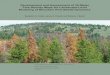 Development and assessment of 30-meter pine density maps 