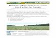 Reduced Tillage and Cover Crops: Five Factors for Success