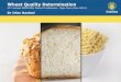 Wheat Quality Determination - IAOM MEA