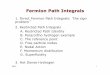Fermion Path Integrals - UIUC