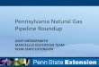 Pennsylvania Natural Gas Pipeline Roundup