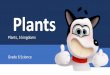 Grade 6 - Study topics - Plants, Monera, protoctista, fungi