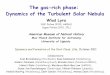 The gas-rich phase: Dynamics of the Turbulent Solar Nebula