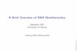 A Brief Overview of RNA Bioinformatics
