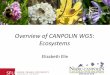 Overview of CANPOLIN WG5: Ecosystems