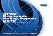 2010 APEC Economic Policy Report