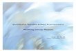 Aerospace Related Public Procurement Working Group Report