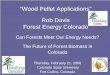 “Wood Pellet Applications” Rob Davis Forest Energy Colorado