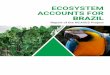 ECOSYSTEM ACCOUNTS FOR BRAZIL