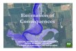 Estimation of Consequences