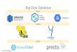 Big Data Database