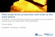 Pilot-scale brick production and trials at the steel plants